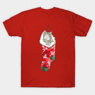 Christmas grey kitten in a sock T-Shirt T-Shirt